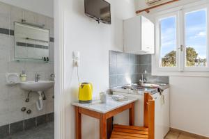 Livadia Studio A Paros