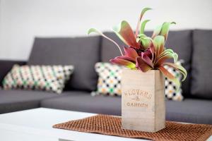 Casa Sara Costa Calma