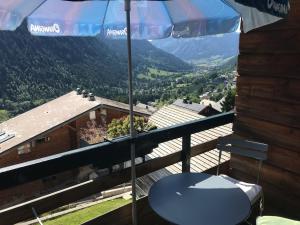 Studio Châtel 4 Pers, Ski, Balcon SudOuest, Parking, NetflixWIFI, Animaux admis - FR-1-676-122