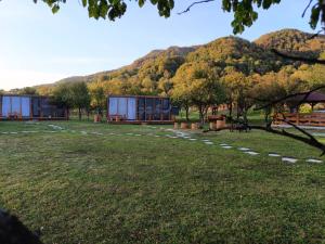 Valea Regilor Happy Camp