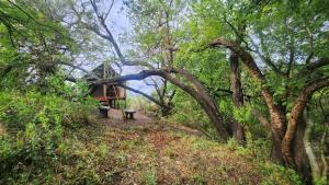 Hideout River View Tent