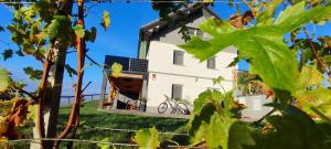 Apartmaji Gračner 