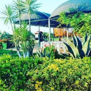 La Tenuta del Passero - 丽都代皮尼