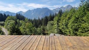 Appartements Alpine 1 bed Chalet with beautiful views : photos des chambres