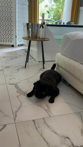 Apartman sa jakuzijem