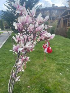 Apartament by Zenit in Terra Complex B30