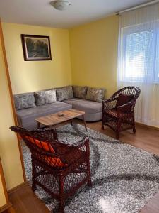 Lepa kuca Tara Kremna