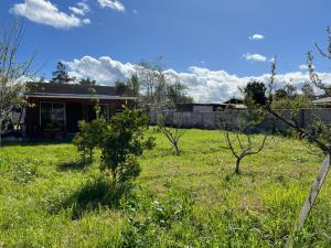 Casa Tagua Tagua - Full Equipada y Plantas Boutique