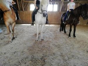 Ponyhof Adam Urlaub auf dem Bauernhof