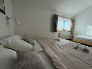 Apartmánový Dom 44