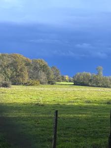 Appartements Nature et calme : photos des chambres