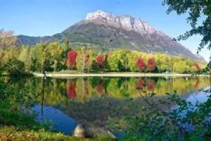 appartement T2 - 4 personnes - 圣皮埃尔－达尔比尼