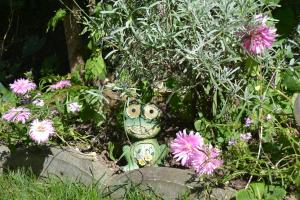 Gavris Relaxing Place