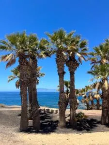 Gran Relax Alcala Appartement - 阿尔卡拉