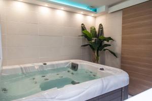 Appartements L'Escapade-Hypercentre-Spa-parking prive-tout equipe-refait a neuf : photos des chambres