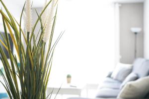 Bonito apartamento ideal para familias con piscina en Roquetas