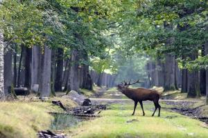 Maison spacieuse à 35 Paris - 20 Versailles