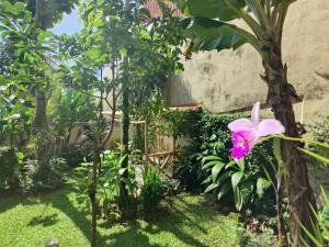 Boutique Hotel Casa de Lis, Turrialba