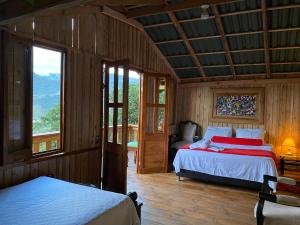 Oro Verde Noche De Luna