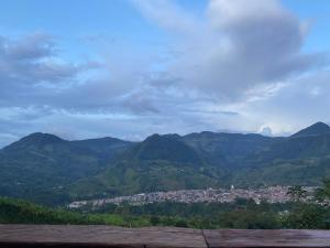 Oro Verde Noche De Luna