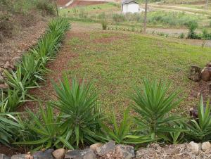 Cabana econômica para 12 pessoas