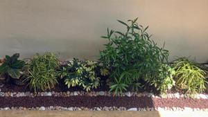 Habitación independiente al Norte de Mérida