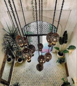 Jungle Lounge Barefoot Luxury 3BR Two Level Penthouse with Pool in Luum Zama