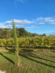 Lannexe de L Bergerie - L’ Ardèche - Via Rhona