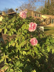 Maisons de vacances L-annexe de L- Bergerie - L’ Ardeche - Via Rhona : Chambre Double - Vue sur Parc