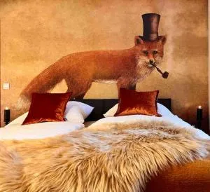 Reet am Rhein - Eröffnungsangebot - Ney