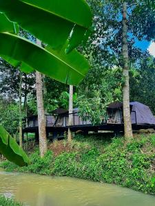 Suối Camp