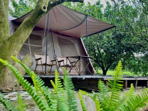Suối Camp