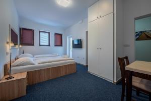 Standard Studio with Balcony room in Villa Plat