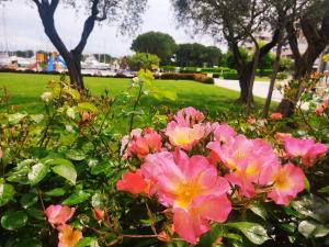 Signora Ruth - Aprilia Residence