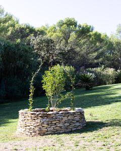 B&B / Chambres d'hotes Mas lou Felibrige : photos des chambres