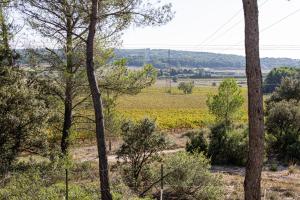 B&B / Chambres d'hotes Mas lou Felibrige : photos des chambres