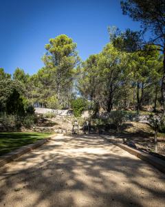 B&B / Chambres d'hotes Mas lou Felibrige : photos des chambres