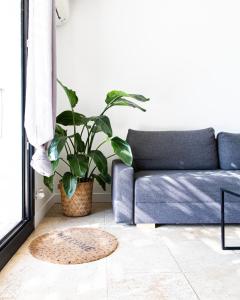 B&B / Chambres d'hotes Mas lou Felibrige : photos des chambres