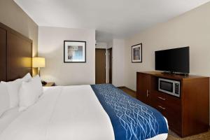 Comfort Inn Lacey - Olympia