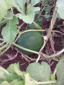 Agroturystyka Porbady