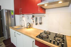 Apartament Lublin Stare Miasto „Wild Cat II”