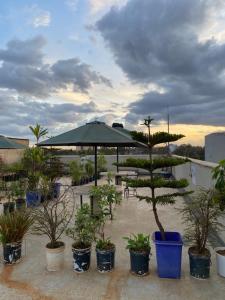 1 Bdr apartment with pool