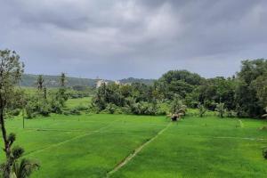 1 BHK Field View Apartment JP De Goa