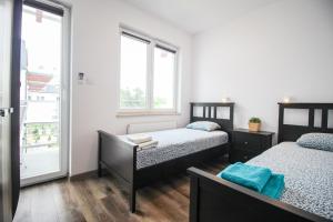 Apartament Lublin Stare Miasto „Wild Cat II”