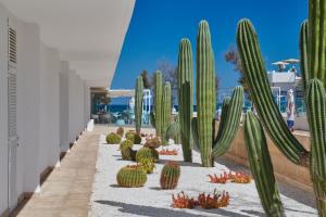 The Sea Hotel by Grupotel - Adults Only