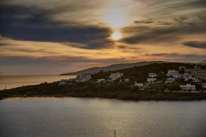 Villa Fiamegou Andros Greece