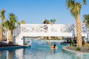 Seaweed Palm at Palmilla Beach