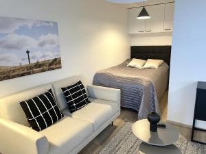 Bright studio apartment near the centre