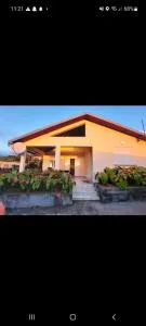 Ti kaz anturium - Dos dʼÂne