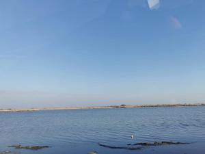 Appartements Plages de camargue et logement dans un site calme de reve : Appartement 2 Chambres